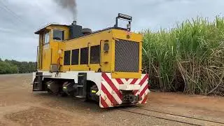 QLD Sugar Cane Trains - A day out at the Sugar Cane fields
