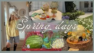 SPRING DAYS | getting back in the swing of things & baking a beehive cake 🌼