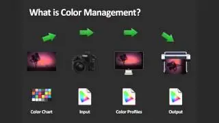 Color Management For Photographers