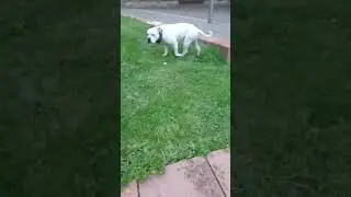 Home movies(3)