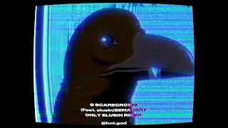 9 SCARECROWS (Only elusin tiktok remix) + angel egg edit