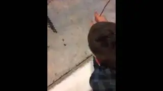 Находчивость