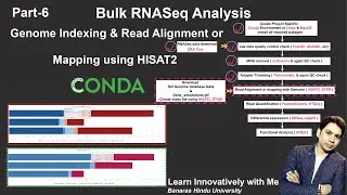 Bulk RNA-Seq Analysis Demystified: Step-by-Step Tutorial Part 6  Read Alignment or Mapping by HISAT2