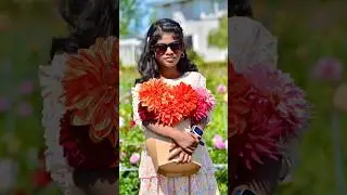 Beautiful Flowers Sneak Peek #shorts #viralshorts #shortfeed #trending #viralvideo #youtubeshorts