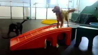 VID_20120410_103851.mp4