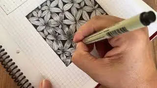 Zentagle Desen Çizimi