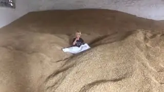 Цены на зерно урожай 2021! Получаем ячмень
