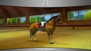 Horse Life 2 / Horse Life Adventures Gameplay Wii (Horse Game)