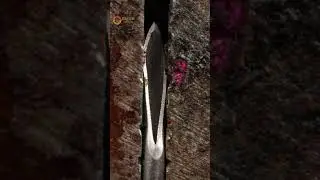 Needle Crushing ASMR #satisfying #closeup