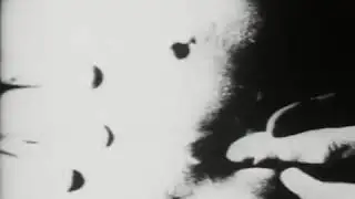 Begotten