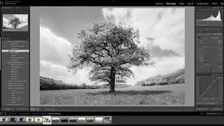 David Noton Photography: The Fundamentals of Post Production, Issue 53 - Part One