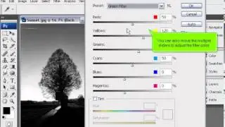 How to convert a colour image to Black and White or Sepia toned in PhotoShop