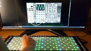 The Golden LinnStrument Harp