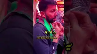 Noha @ Zareeh e Imam Hussain a.s  || Ali Safdar || Hussain al Ghareeb #alisafdar #karbala #noha