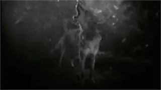 Lupus Driftwood Scarecrow (Official Music Video)