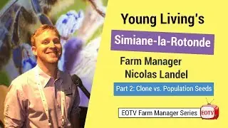 ✅ Essential Oil Farming - Clove vs. Population Seeds | Essential Oil TV