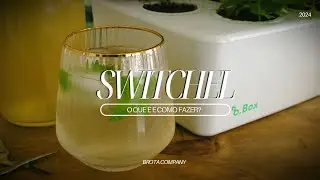 Receita de Switchel : O Gatorade da Natureza