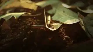70 лет Победы. Снайперы Наталья Ковшова и Мария Поливанова. Социальный ролик телеканала СТС