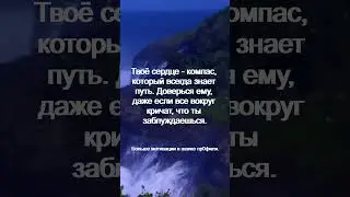 Твоё сердце   компас