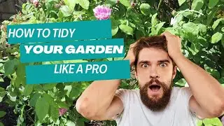 How to Tidy Your Garden Like a Pro! |Transform Your Outdoor Space