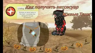 КАК ПОЛУЧИТЬ АМУЛЕТ 