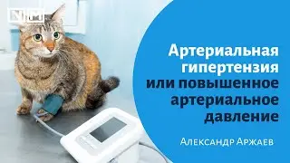 Артериальная гипертензия или повышенное артериальное давление