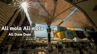 Ali mola Ali mola Ali dam dam Whatsapp status | Mola Ali Whatsapp Status | Shia Whatsapp status |