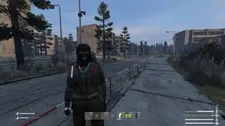 Лысый пошли гулять!