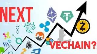 NEXT 100X TOKEN???!!! MUST WATCH NEXT VECHAIN