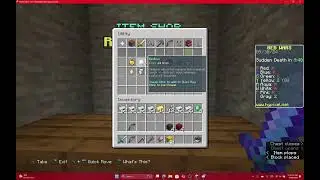 Playing Hypixel with Jacob (Minecraft)