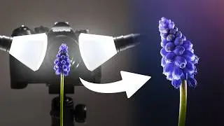 I Tried Flower Macro Photography For The First Time