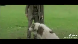 Johnny Depp and Dog Movie Scene TikTok: johnny_depp_forever