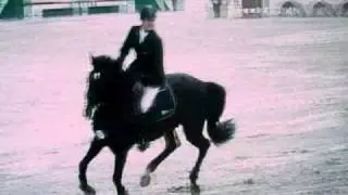 Edjaz van Merelsnest