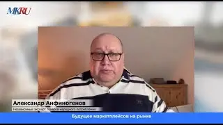 Независимый эксперт  Александр Анфиногенов рассказал о ограничениях для маркетплейсов