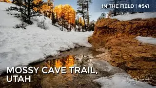 Mossy Cave Trail Utah - In The Field #541