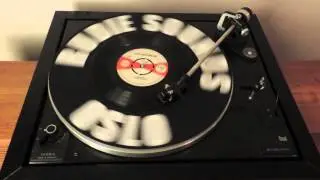 The Gaylettes - Silent River Runs Deep