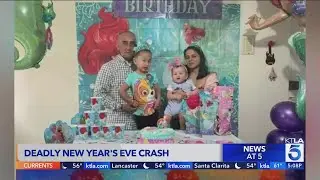 Toddler fighting for life after family killed by hit-and-run driver in South L.A.