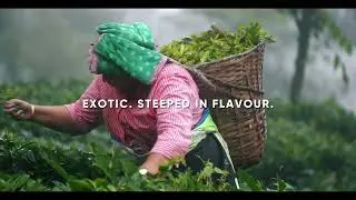 One District One Product - Darjeeling tea