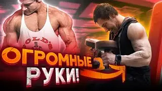 Изи схема прокачки рук! Андрей Гюлназарян.