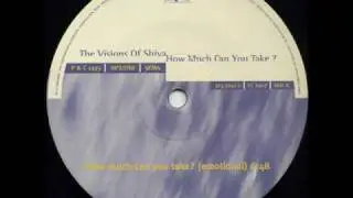 The Visions Of Shiva - How Much Can You Take 1993