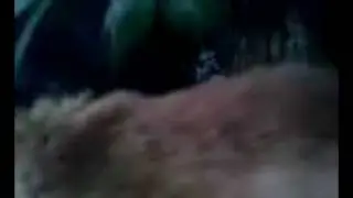Тобик за кошкой