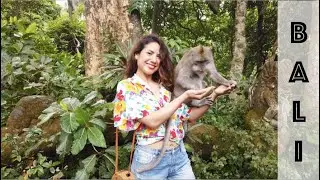 5 Days in Bali shot by DJI Osmo Pocket