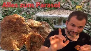 Parasolpilz finden & zubereiten | Schirmpilze zubereiten, Riesenschirmpilz, Speisepilz, Parasol