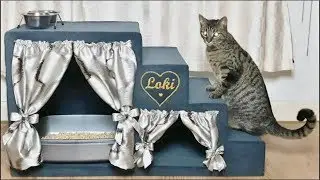 Creating a Cosy Cat Condo from Upcycled Cardboard | DIY Pet Paradise