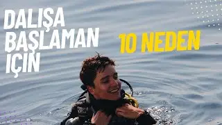 Dalışa Başlaman İçin 10 Neden | Neden Dalış Yapmalısın?