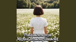 Ромашковое поле