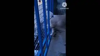 รวยลุย!อริม๊าาา😘😆