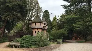 WATCH: Ireland's biggest tree house at Birr Castle Gardens... day out, anyone?