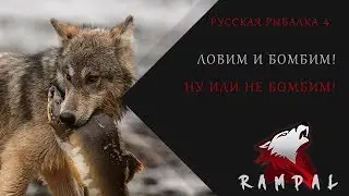 Русская Рыбалка 4! Трофы будут? или где?))