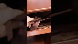 Sneak peak Of our latest episode! Link to The full vid is in the comments ⛵️🎥 